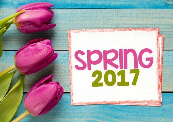 Tulipanes con texto primavera 2017 — Foto de Stock