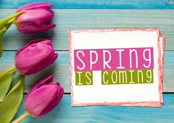 Tulipány s textem jaro se blíží — Stock fotografie