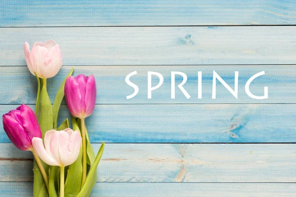 Tulipany z tekst wiosna — Zdjęcie stockowe
