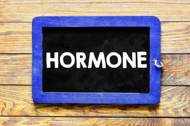 Kitabe bir tahtaya yazılmış