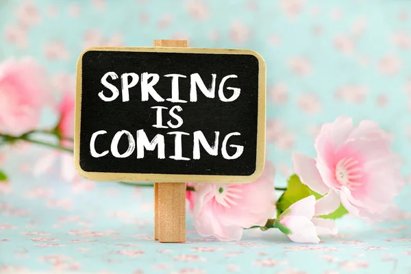 Blackboard with inscription and flowers — Stock Photo, Image