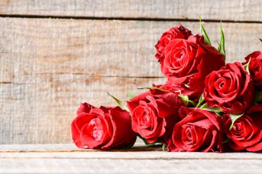 güzel kırmızı gül