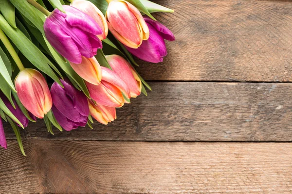 Beautiful spring  Tulips — Stock Photo, Image