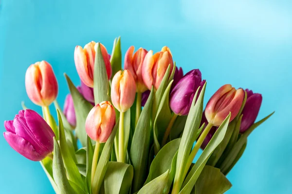 Tulpen op kleurrijke achtergrond — Stockfoto