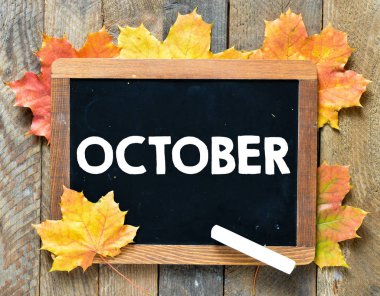 siyah kurulu yazma Ekim 