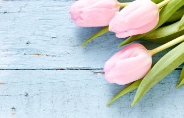 ahşap tahta üzerinde taze Pembe Laleler