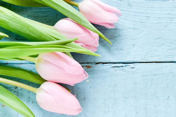 Svěží Růžové Tulipány Dřevěné Desce — Stock fotografie