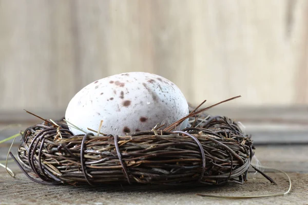 Osterei Nest Nahaufnahme — Stockfoto