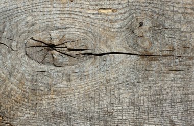 Ahşap doku, ahşap arka plan, Vintage gri ahşap tahta duvar