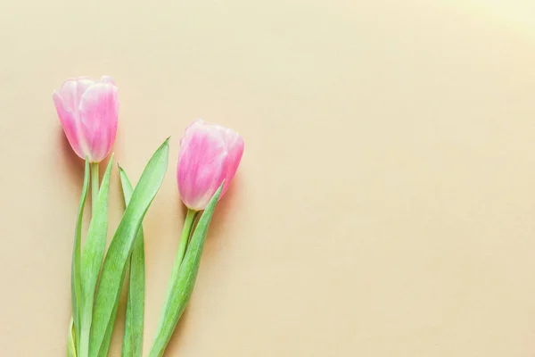 Schöne Rosa Tulpenblüten Auf Beigem Hintergrund Konzept Zum Internationalen Frauentag — Stockfoto