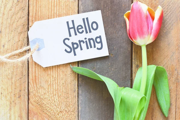 Hello Spring Tag — Stock Photo, Image