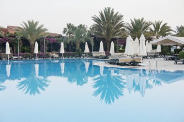 Yeşil avuç içi, şezlong şemsiye, gündüz ile çevrili Havuzu. Tatil kavramı
