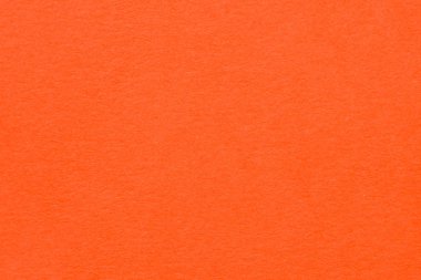 Arka planda kasvetli fırtınalı gökyüzü olan ıssız ağaçların siyah ve beyaz görüntüsü.. 