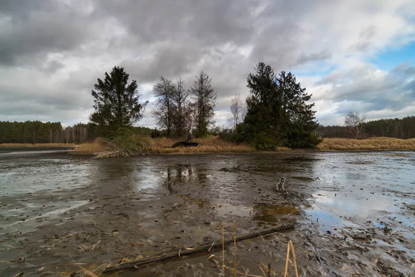 ポーランドの自然環境景観 高解像度写真 — ストック写真