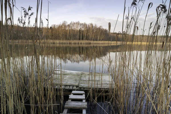 Vieille Passerelle Bois Sur Lac — Photo