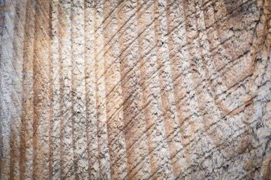 Ahşap desen arka plan, ahşap masa üstü görünümü