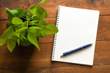 Boş not defteri ve ofis tahtasının üzerinde.