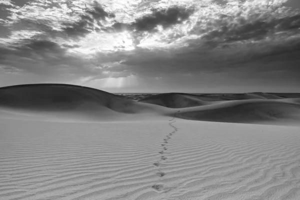 Gran Canaria Daki Maspalomas Kumullarının Manzarası Las Palmas Ili Kanarya — Stok fotoğraf