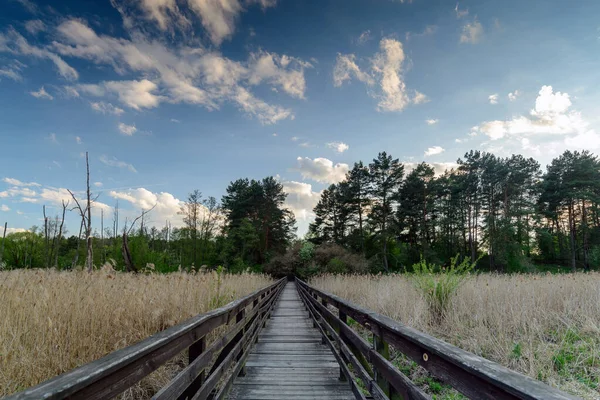 Landskap Parken Soluppgång Mulen Dag Parken — Stockfoto