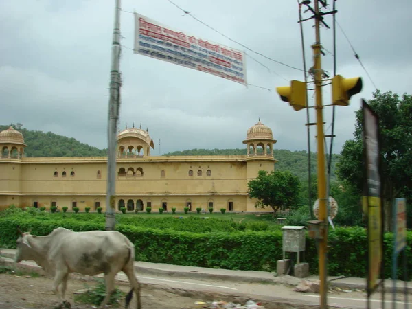 2009 India Jaipur Sony Cyber Shot Dsc — Stock Photo, Image