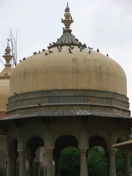 2009 India Jaipur Sony Cyber Shot Dsc — Stock fotografie