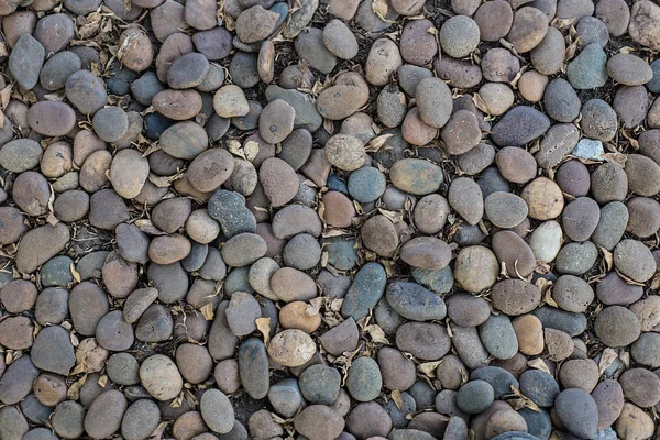 Little round rock on the ground, rock and stone background