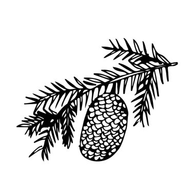 köknar koni simgesi