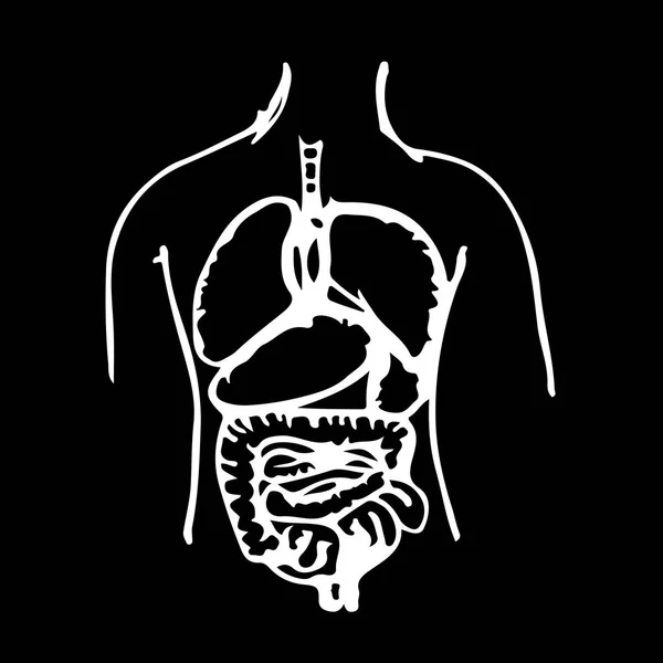 Handzeichnen Körperorgan Symbol — Stockvektor