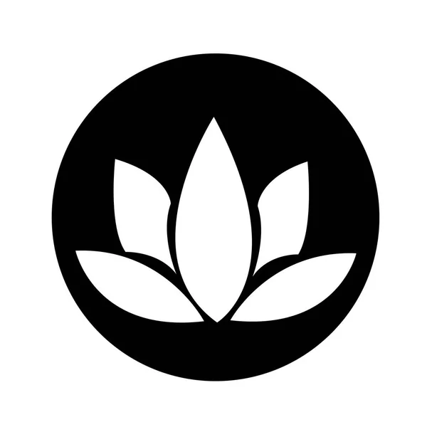 Lotus pictogram ontwerp — Stockvector