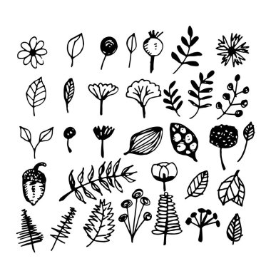 el çekilmiş bitkiler