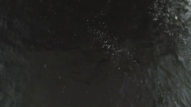 Volando sobre el río de invierno filmando video desde un dron — Vídeo de stock