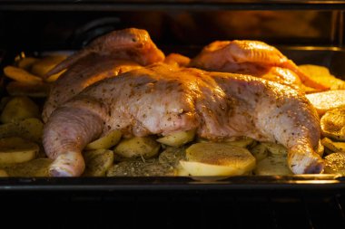 Raw chicken with baked potatoes and onions in the oven