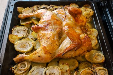 Fırında fırında patates ve soğan ile kızarmış tavuk. Yukarıdan görünüşü
