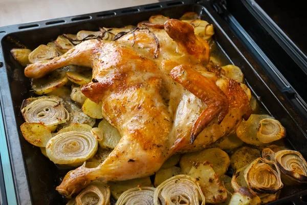 Fried chicken with baked potatoes and onions in the oven. The view from the top — Stock Photo, Image