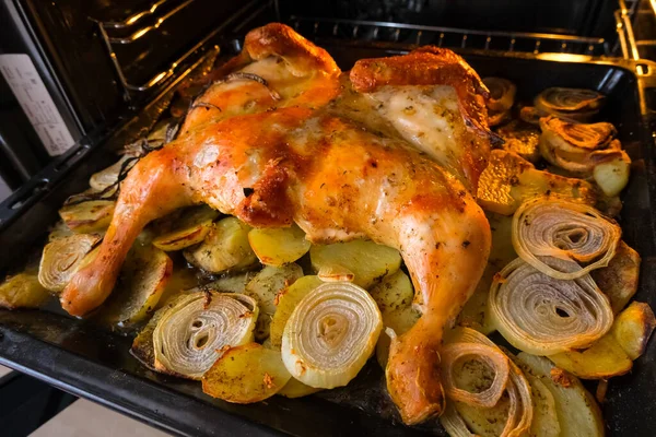 Fırında fırında patates ve soğanlı kızarmış tavuk. — Stok fotoğraf