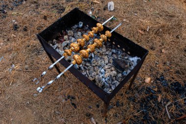 Izgara mantar ve şiş mantar.