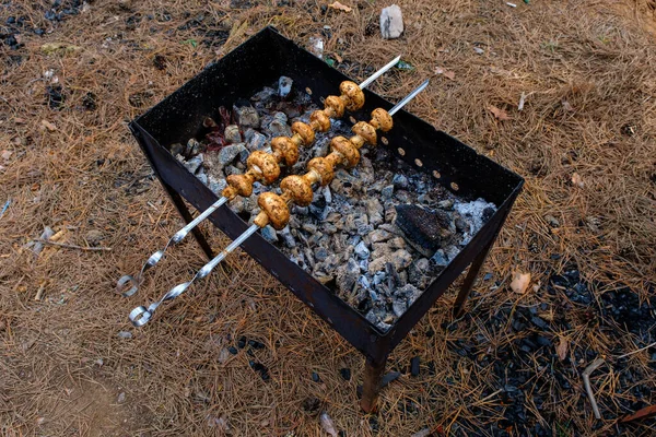 Grilled mushrooms on skewers cooked in a brazier — Stock Photo, Image