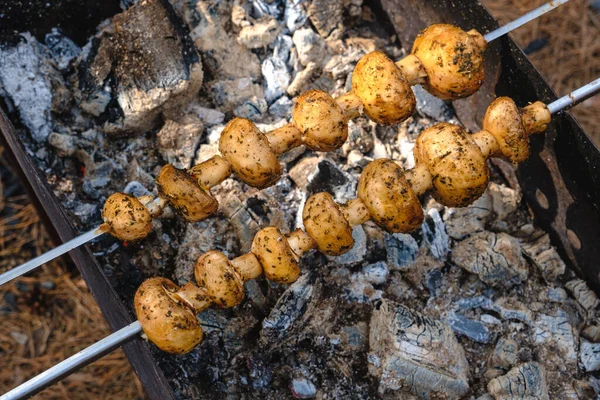 Grilled mushrooms on skewers cooked in a brazier, close-up — Stock Photo, Image
