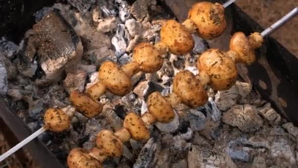 绞刑架上的蘑菇在烤架上烤着.露营 — 图库视频影像