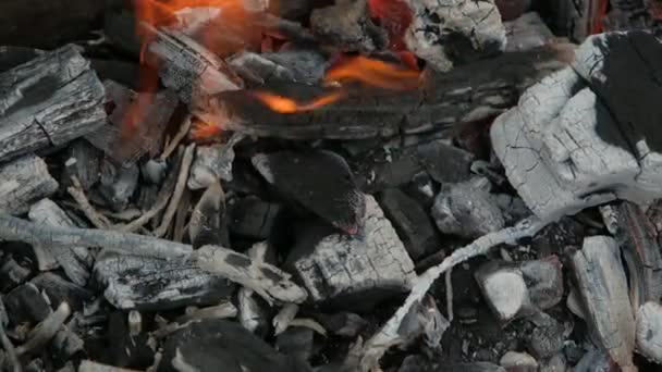 Las brasas ardiendo en la parrilla, de cerca. Preparación de carbones para asar shish kebab — Vídeo de stock