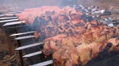 Izgarada kızartılmış şiş ızgara, yakın plan. Açık hava barbeküsü