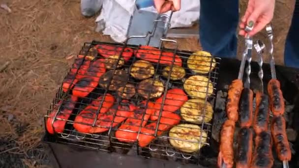 Embutidos cocidos en la parrilla con verduras a la parrilla en la naturaleza. Picnic. — Vídeos de Stock