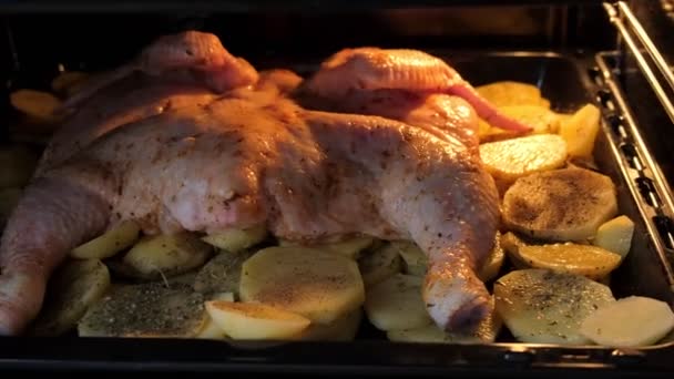 Rohes Hühnchen mit Gewürzen und Kartoffeln auf einem Backblech im Ofen — Stockvideo