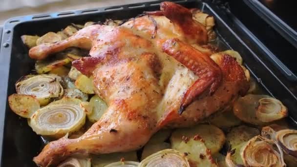Fried chicken with spices and potatoes on a baking sheet is fried in the oven. The top view, closeup. — Stock Video
