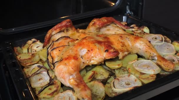 Pollo frito con especias y patatas en una bandeja para hornear se fríe en el horno — Vídeo de stock