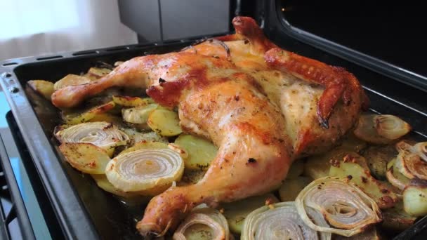 O frango frito com temperos e batatas em uma assadeira frita-se no forno — Vídeo de Stock