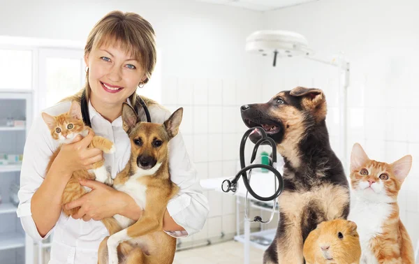 Veterinário fêmea em um fundo branco — Fotografia de Stock