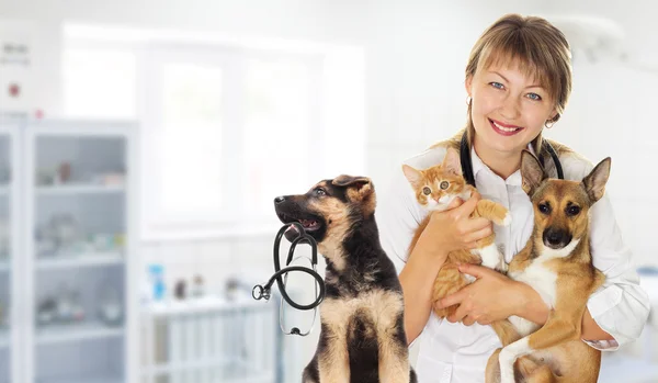 Ветеринар женщина на белом фоне — стоковое фото