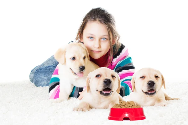 Child and labrador puppies — Stockfoto