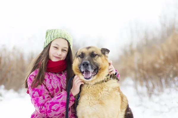 Mädchen und Hund Schäferhund — Stockfoto